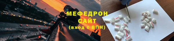 прущие грибы Ельня