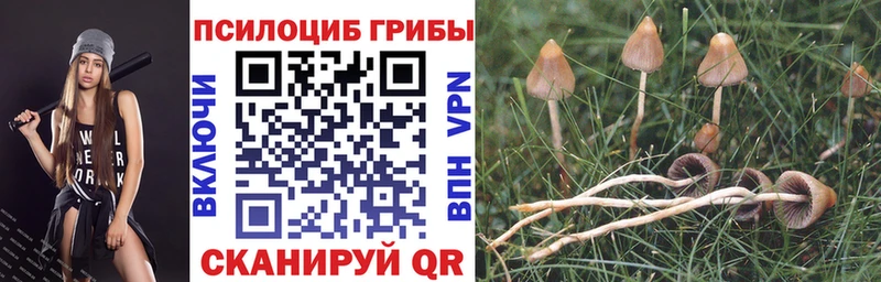 Псилоцибиновые грибы GOLDEN TEACHER  дарнет шоп  Агидель 